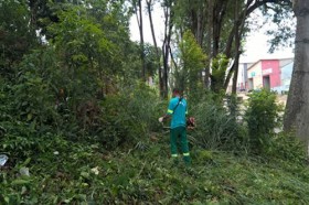 Servidores usam roçadeira para a limpeza às margens da rodovia