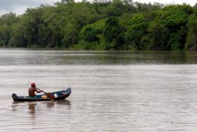 tapajos